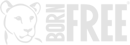 Born Free Logo